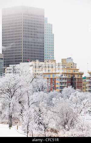 Des bâtiments de la ville et les arbres couverts de givre et de neige sur une froide journée d'hiver. Winnipeg, Manitoba, Canada. Banque D'Images