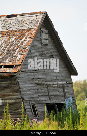 Vieille grange abandonnée dans les Prairies canadiennes. La vallée de Pembina, au Manitoba, Canada. Banque D'Images