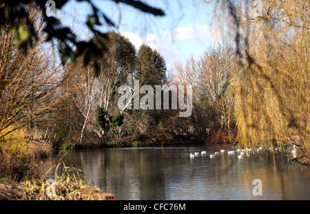 Horsham Park West Sussex UK Banque D'Images