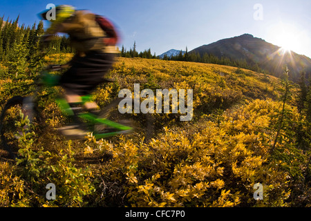 Une des promenades en vélo de montagne à Kananaskis, AB Banque D'Images