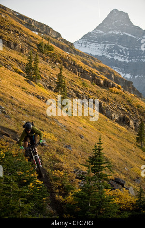 Une des promenades en vélo de montagne à Kananaskis, AB Banque D'Images