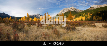 Couleurs d'automne affiche le long de l'autoroute 40 dans la région de Kananaskis, Albera. Banque D'Images