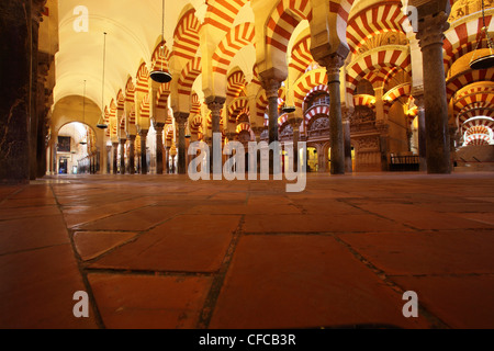 Cathédrale Mezquita de Cordoue, Cordoue, Andalousie, Espagne Banque D'Images