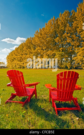 Deux chaises au bord d'un champ de foin avec un brise-vent dans les couleurs de l'automne dans le fond près de Dufresne, Manitoba, Canada Banque D'Images