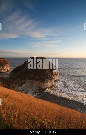 Marée montante au Sud Atterrissage Flamborough Head Banque D'Images