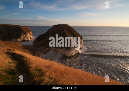 Marée montante au Sud Atterrissage Flamborough Head Banque D'Images