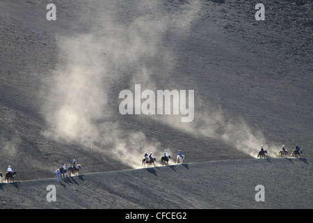 Chevaux d'équitation le long du cratère de Haleakala National Park, Maui, Hawaii Banque D'Images