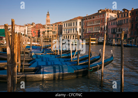 Amarré gondoles de heure d'or lumière sur Grand Canal - Venise, Venezia, Italie, Europe Banque D'Images