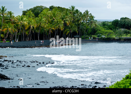 Punalu'u plage de sable noir. Banque D'Images