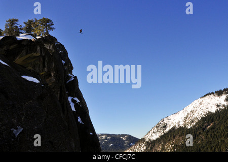 Skieur Pro Josh Daiek réalise une double ski backflip Base Jumping off de Lovers Leap dans la fraise, CA. Banque D'Images