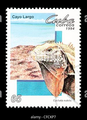 Timbre-poste représentant de Cuba un iguane. Banque D'Images