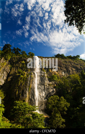 Diyaluma Falls près d'Haputale, Sri Lanka. Banque D'Images