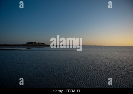 Tôt le matin à Hallig Langeneß avec vue sur le port dans le site du patrimoine mondial de l'mer des wadden de Frise du Nord, Allemagne Banque D'Images