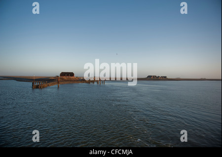 Tôt le matin à Hallig Langeneß avec vue sur le port dans le site du patrimoine mondial de l'mer des wadden de Frise du Nord, Allemagne Banque D'Images