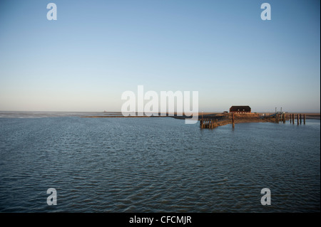 Tôt le matin à Hallig Langeneß avec vue sur le port dans le site du patrimoine mondial de l'mer des wadden de Frise du Nord, Allemagne Banque D'Images