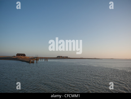 Tôt le matin à Hallig Langeneß avec vue sur le port dans le site du patrimoine mondial de l'mer des wadden de Frise du Nord, Allemagne Banque D'Images