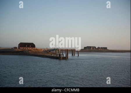 Tôt le matin à Hallig Langeneß avec vue sur le port dans le site du patrimoine mondial de l'mer des wadden de Frise du Nord, Allemagne Banque D'Images