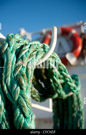 Toujours pris la vie maritime à bord du traversier Hilligenley navette entre les frison du nord Hallig Langeneß et continentale Banque D'Images