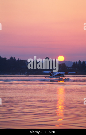 Un de Havilland Beaver quitte Nanaimo, C.-B.). L'île Protection est dans l'arrière-plan comme le soleil se lève sur l'Île Gabriola. Banque D'Images