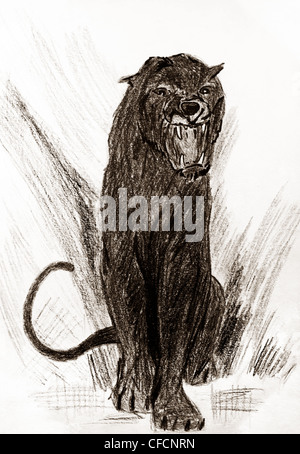 Peinture d'un enfant puma noir ou panther roaring Banque D'Images