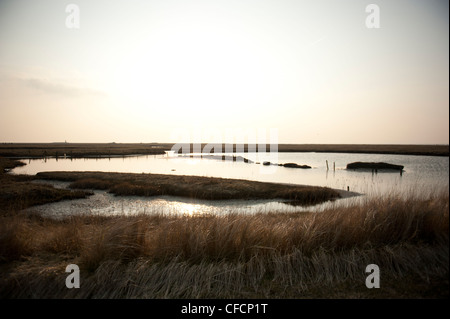 Lever du soleil le Langeß Hallig, une petite île dans la mer des Wadden, classé au patrimoine mondial de l'UNESCO de Frise du Nord, Allemagne Banque D'Images