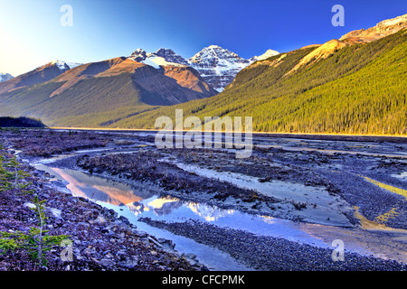 Reflet dans la montagne, de la rivière Athabasca Parc national Jasper, Alberta, Canada Banque D'Images