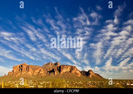 Cactus Saguaro (Carnegiea gigantea), Supestition montagnes près de Apache Junction, Arizona, United States of America Banque D'Images