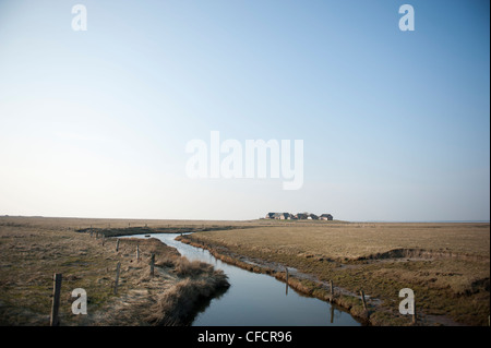 Avis de K 44 vers Süderhörn sur Hallig Langeneß Warft, une île dans la mer du Nord, mer des Wadden, Allemagne Banque D'Images