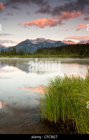 Sunrise ALPEN GLOW sur le lac Vermillion, gamme massive, Banff National Park, Alberta, Canada Banque D'Images