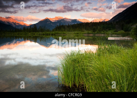 Sunrise ALPEN GLOW sur le lac Vermillion, gamme massive, Banff National Park, Alberta, Canada Banque D'Images