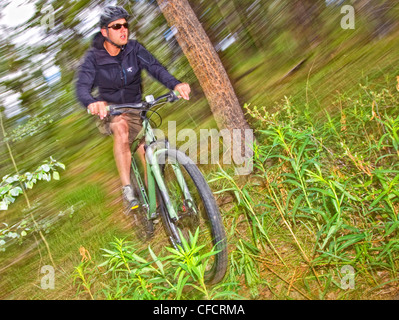 Homme vtt à travers la forêt autour de Whitehorse, au Yukon. Banque D'Images