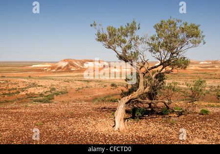 Les échappées, Painted Desert, Coober Peedy, Australie du Sud, Australie, Pacifique Banque D'Images