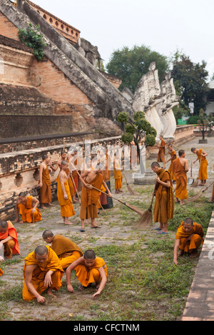 Les novices le nettoyage des jardins du temple, Wat Chedi Luang, Chiang Mai, Thaïlande, Asie Banque D'Images