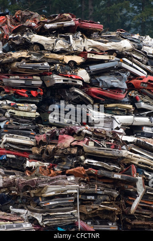 Des piles de voitures obsolètes au chantier de recyclage, l'île de Vancouver, Colombie-Britannique, Canada Banque D'Images