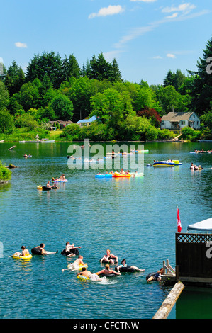 Les tubercules en descendant la rivière Cowichan à Lake Cowichan (Colombie-Britannique), Canada. Banque D'Images