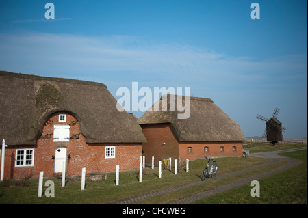 Maisons à Ketelswarf frisonne traditionnelle sur Hallig Langeneß, une "île" dans le site de l'UNESCO d'Allemagne du nord de la mer des wadden Banque D'Images