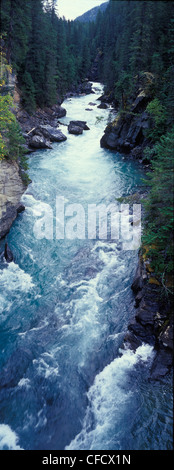 Canyon du fleuve Fraser dans le parc provincial du mont Robson, montagnes Rocheuses, British Columbia, Canada Banque D'Images