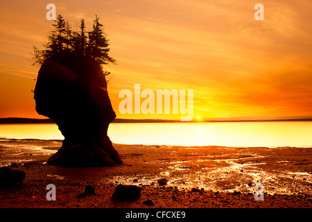 Hopewell Rocks, la baie de Fundy, Nouveau-Brunswick, Canada Banque D'Images