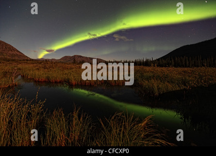 Aurora Borealis ou aurores boréales, Yukon, Canada. Banque D'Images