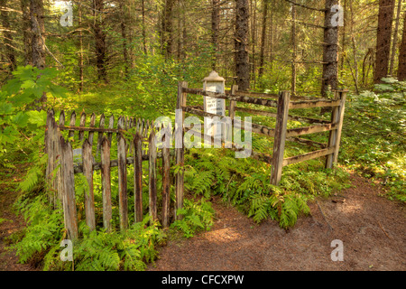 Vieux cimetières de Dyea, Skagway, en Alaska, au Canada. Banque D'Images