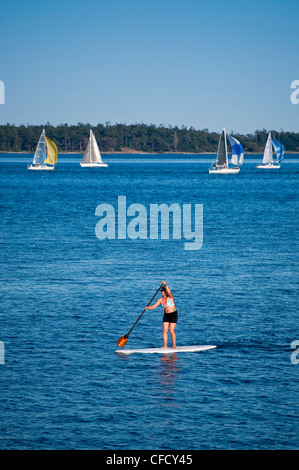 Paddleboarder et voiliers avec spinnakers de Royal Victoria Yacht Club, Victoria, Colombie-Britannique, Canada Banque D'Images