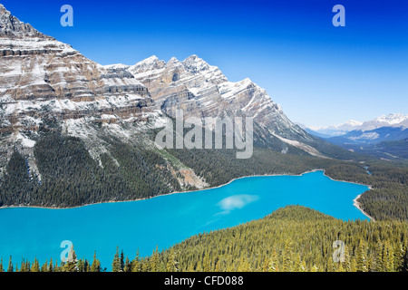 Le lac Peyto, Banff National Park, Alberta, Canada. Banque D'Images