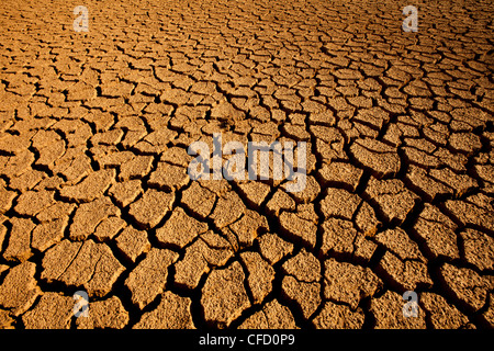 La terre craquelée dans Sarigua national park (désert) dans la province de Herrera, République du Panama. Banque D'Images