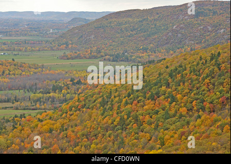 Vue de l'Escarpement d'Eardley belvédère Champlain à l'automne, le parc de la Gatineau, Québec, Canada Banque D'Images