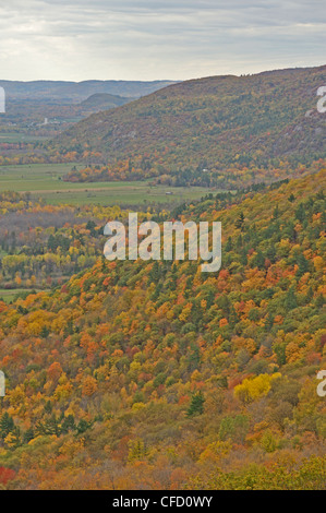 Vue de l'Escarpement d'Eardley belvédère Champlain à l'automne, le parc de la Gatineau, Québec, Canada Banque D'Images