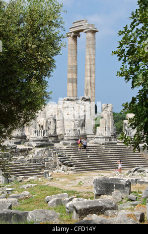 Didymes, un ancien sanctuaire ionien, en Didim, Turquie moderne, contenant le Temple d'Apollon, le Didymaion. Banque D'Images