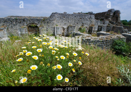 Milet, une ancienne ville grecque sur la côte ouest de l'Anatolie, Turquie Banque D'Images