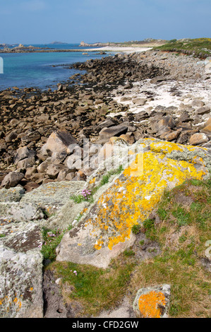 Côte ouest, Bryher, Îles Scilly, Royaume-Uni, Europe Banque D'Images