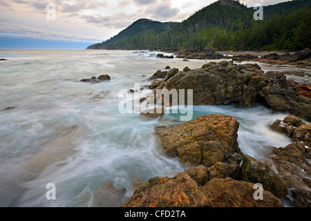 Côte sauvage le long de la côte ouest de Cape Palmerston, Nord de l'île de Vancouver, l'île de Vancouver, Colombie-Britannique, Canada. Banque D'Images