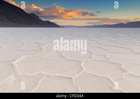 Les polygones de sel du bassin de Badwater à pan, Death Valley National Park, California, USA Banque D'Images